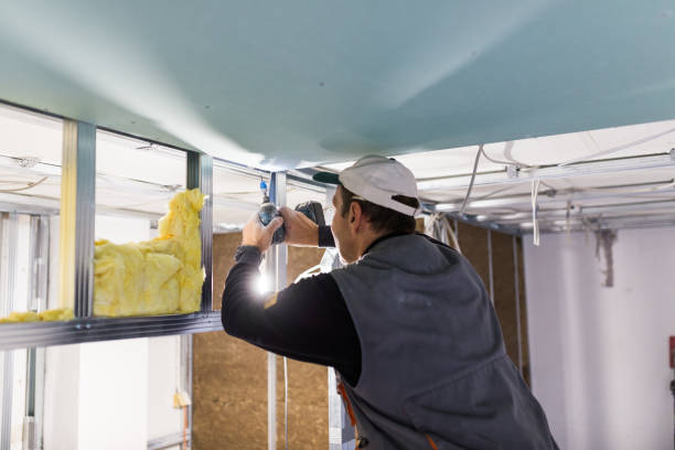 Best Spray Foam Insulation  in Dahlgren, VA