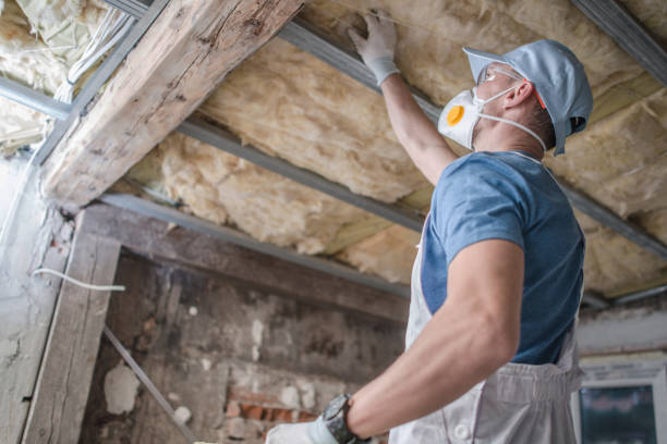Best Blown-in Insulation  in Dahlgren, VA