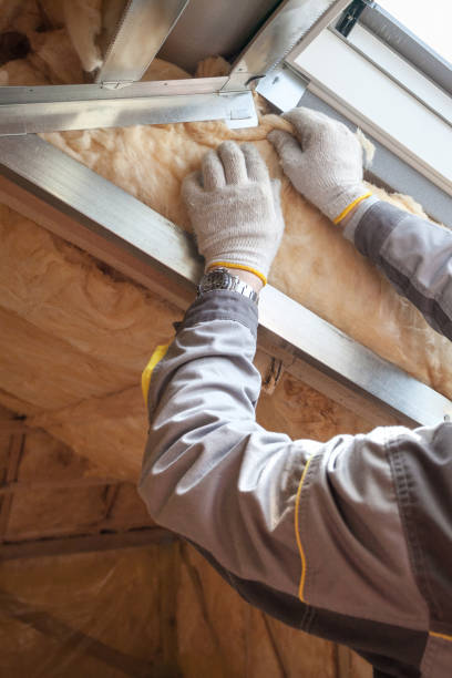 Best Attic Insulation Installation  in Dahlgren, VA