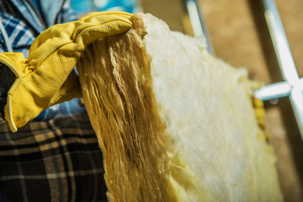 Best Local Insulation Services  in Dahlgren, VA